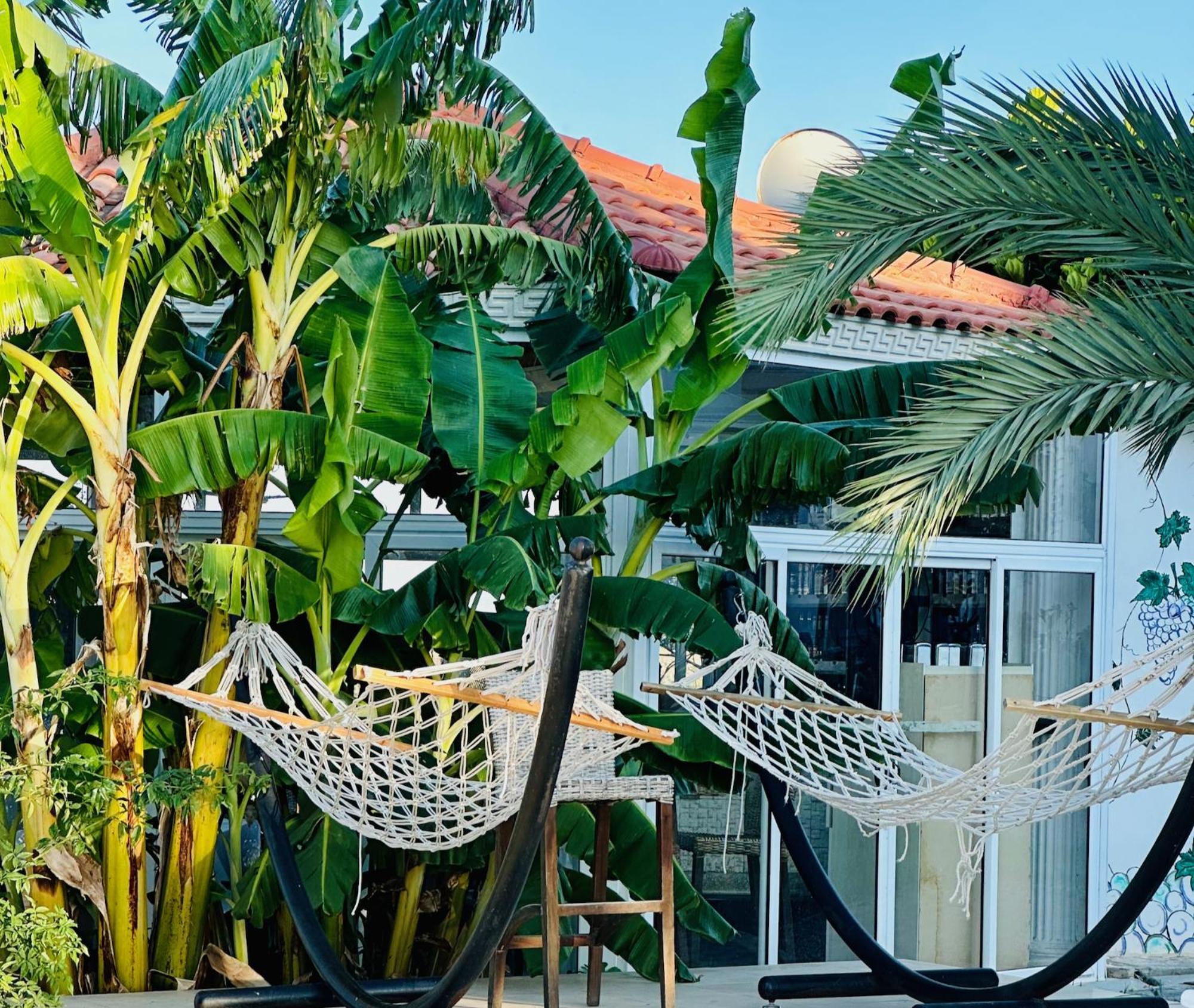 Celebi Garden Hotel - Cittaslow Retreat ฟามากุสต้า ภายนอก รูปภาพ