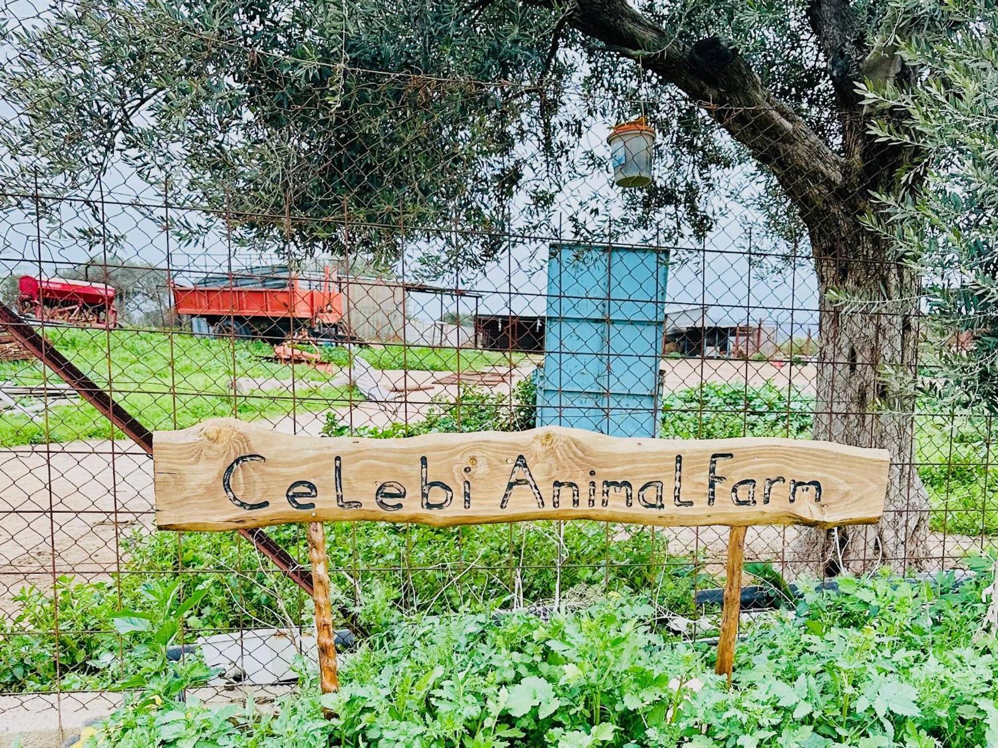 Celebi Garden Hotel - Cittaslow Retreat ฟามากุสต้า ภายนอก รูปภาพ